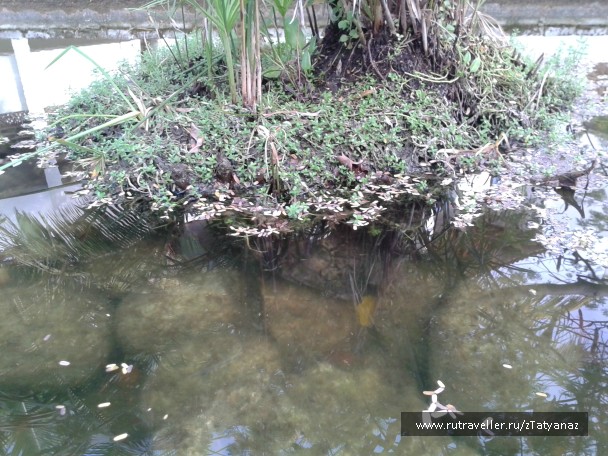 photo 907785