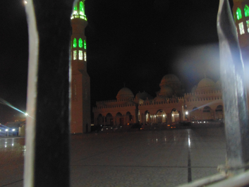 photo 1247008