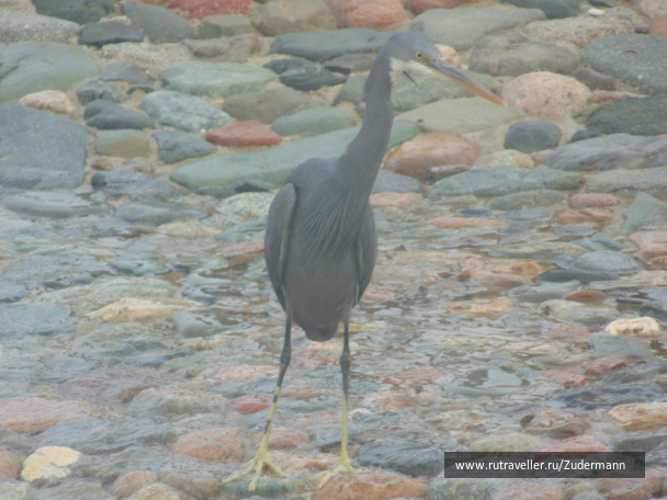 photo 1247044