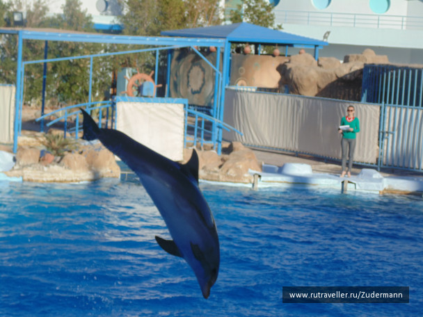 photo 1247469
