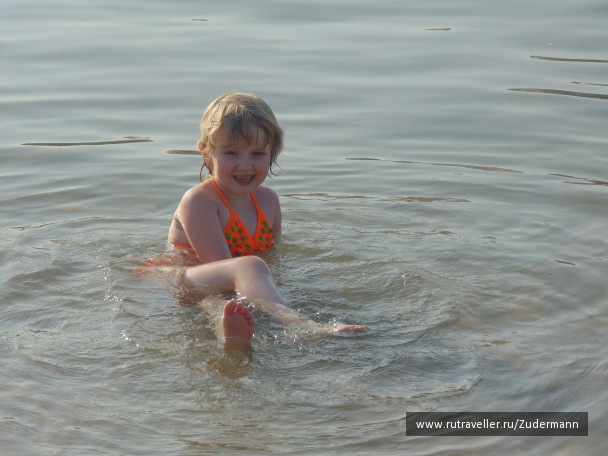 photo 1274494
