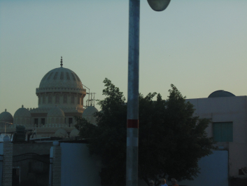 photo 1277639