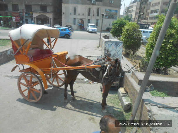 photo 1225368