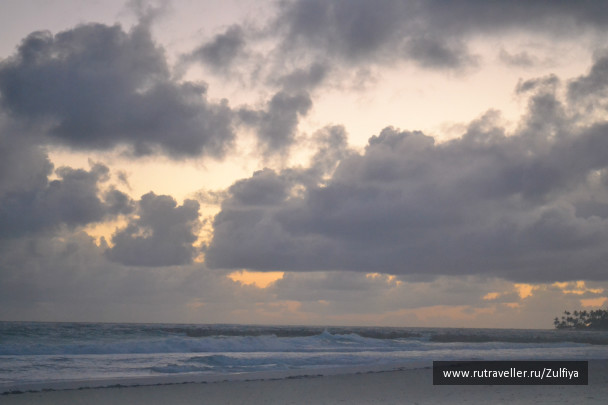 photo 253628