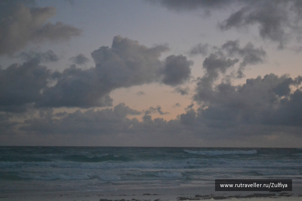 photo 253629