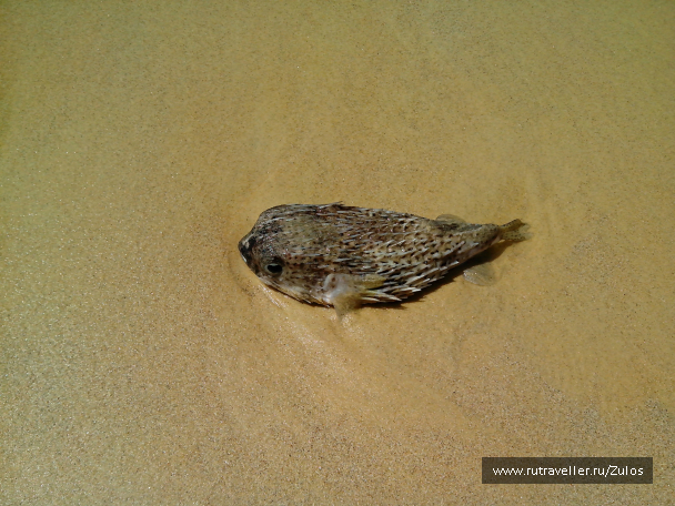 photo 1004497