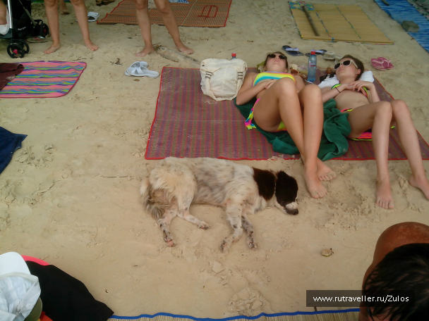 photo 1004504