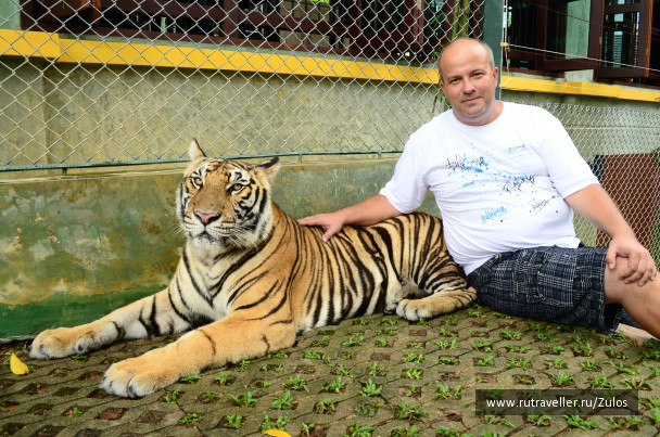 photo 1004534