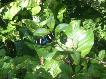 photo 755155