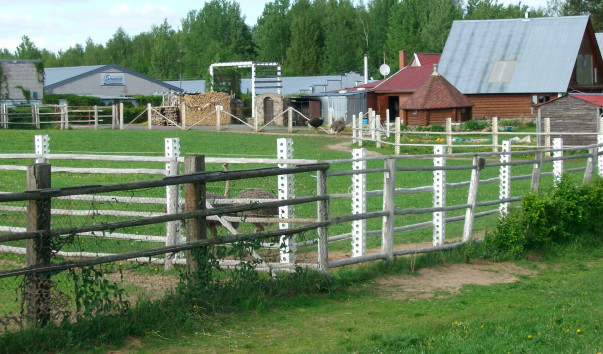 Страусиные вольеры