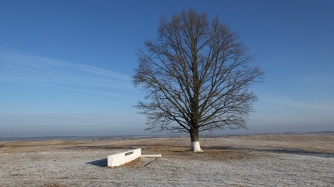 photo 936652