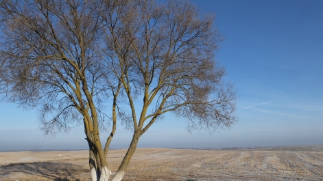 photo 936656