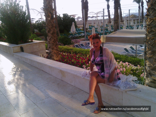 photo 219625