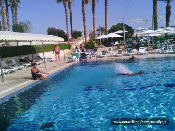 photo 219627